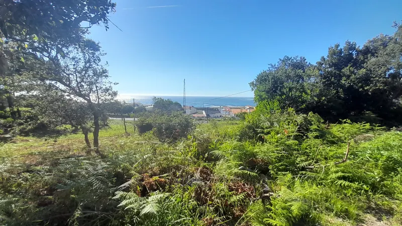 Terreno Para Construção