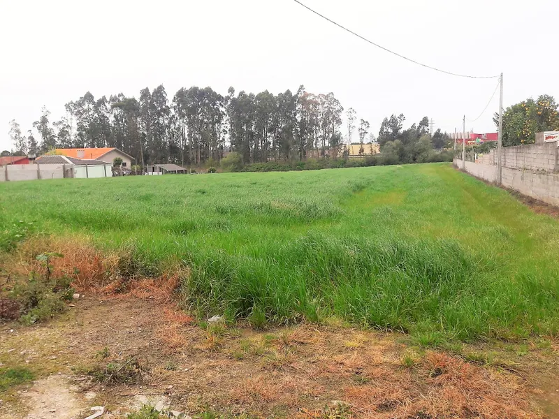 Terreno com viabilidade de construção &#124; Gião, Vila Do Conde