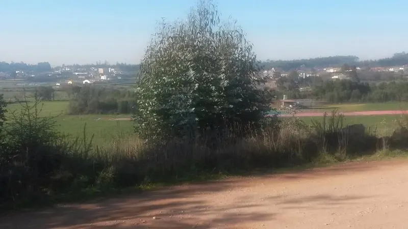 Terreno com 8.000 m² &#124; São Romão Do Coronado, Trofa